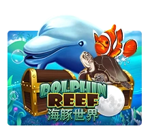 Dolphin Reef - SUMMER138