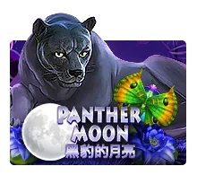 Panther Moon - SUMMER138